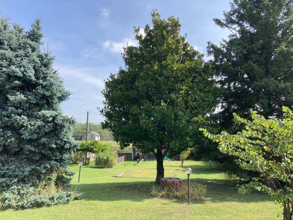 VILLA SIGNORILE ED INDIPENDENTE