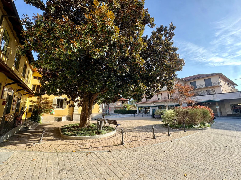 ALLOGGIO COMPLETAMENTE RISTRUTTURATO