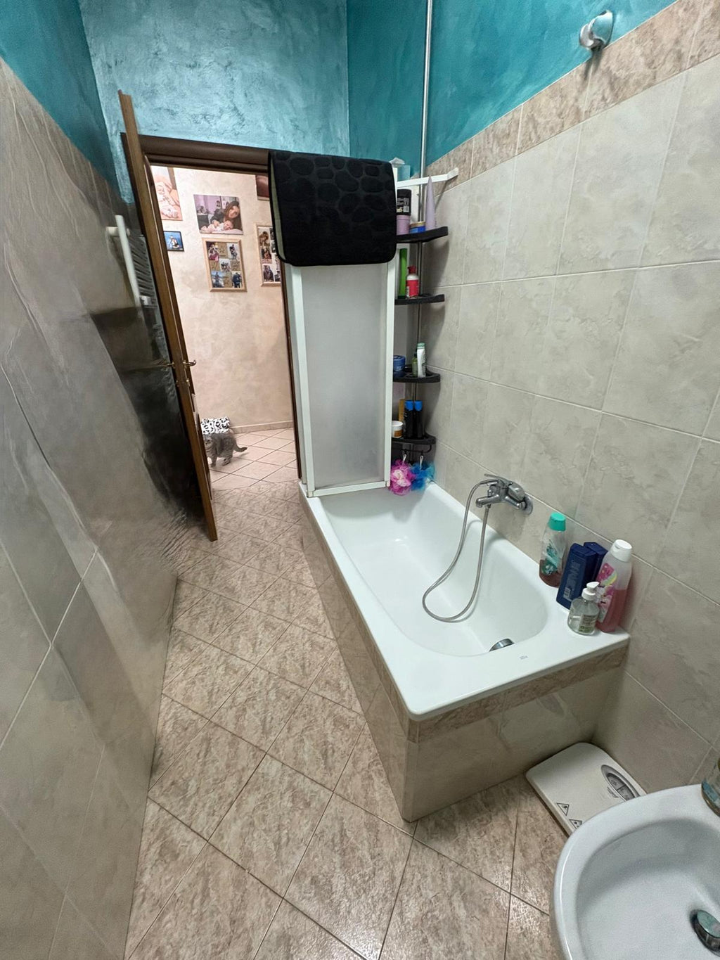 APPARTAMENTO NEL CUORE DI TORINO