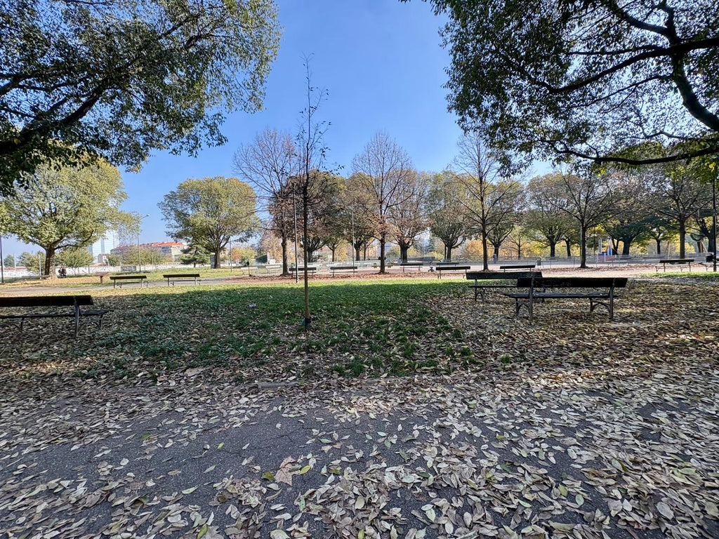 APPARTAMENTO NEL CUORE DI TORINO