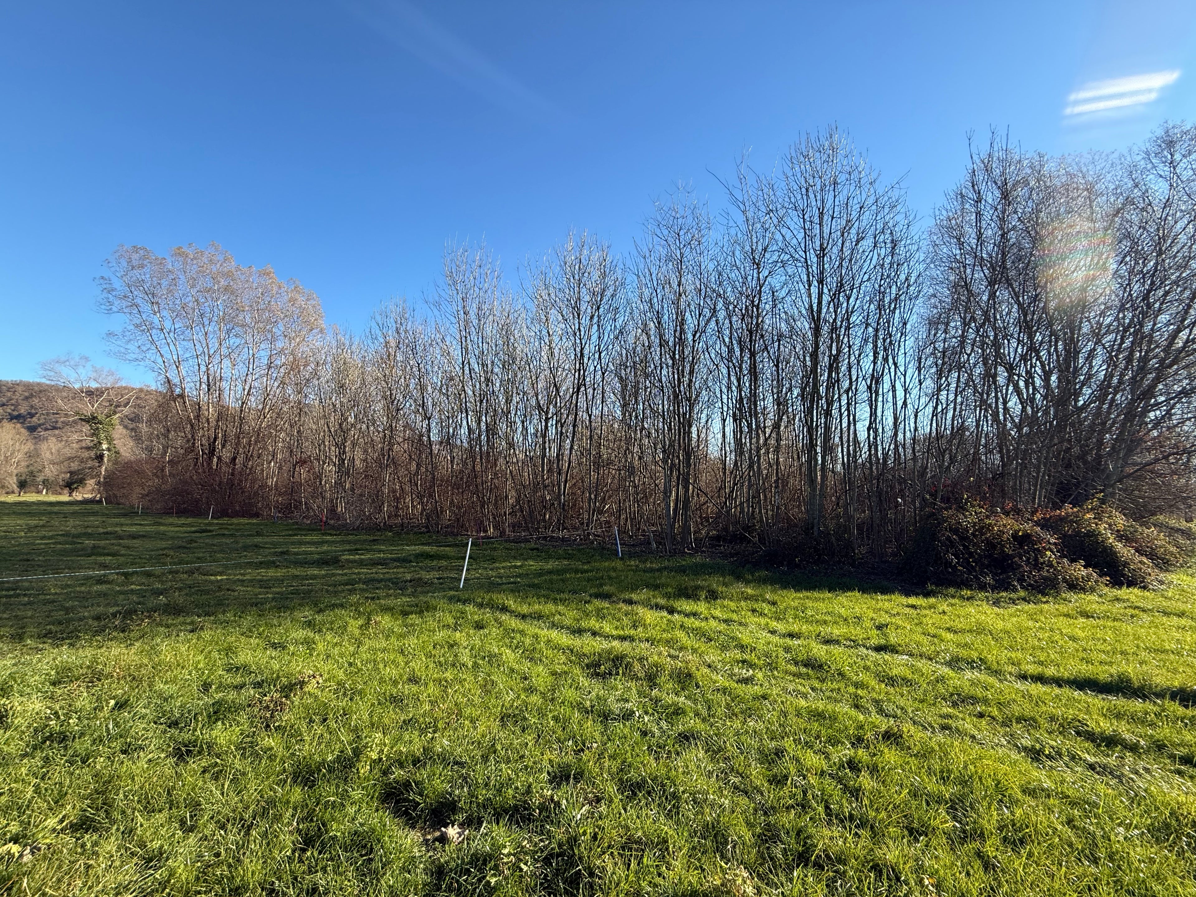 TERRENO AGRICOLO DI CIRCA 2.000 MQ