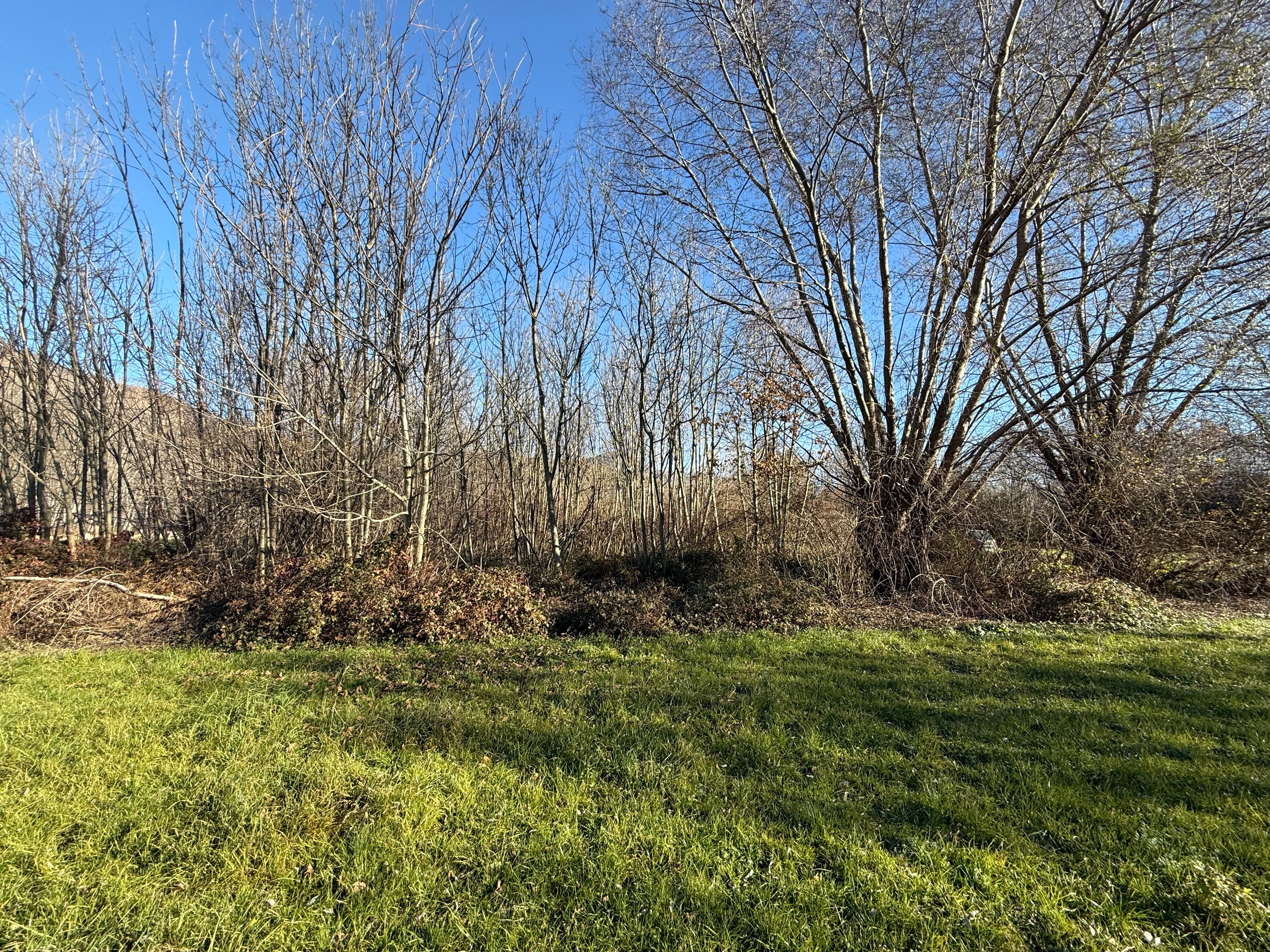 TERRENO AGRICOLO DI CIRCA 2.000 MQ