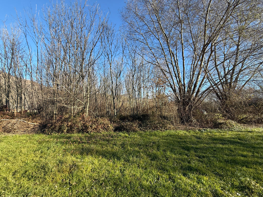 TERRENO AGRICOLO DI CIRCA 2.000 MQ