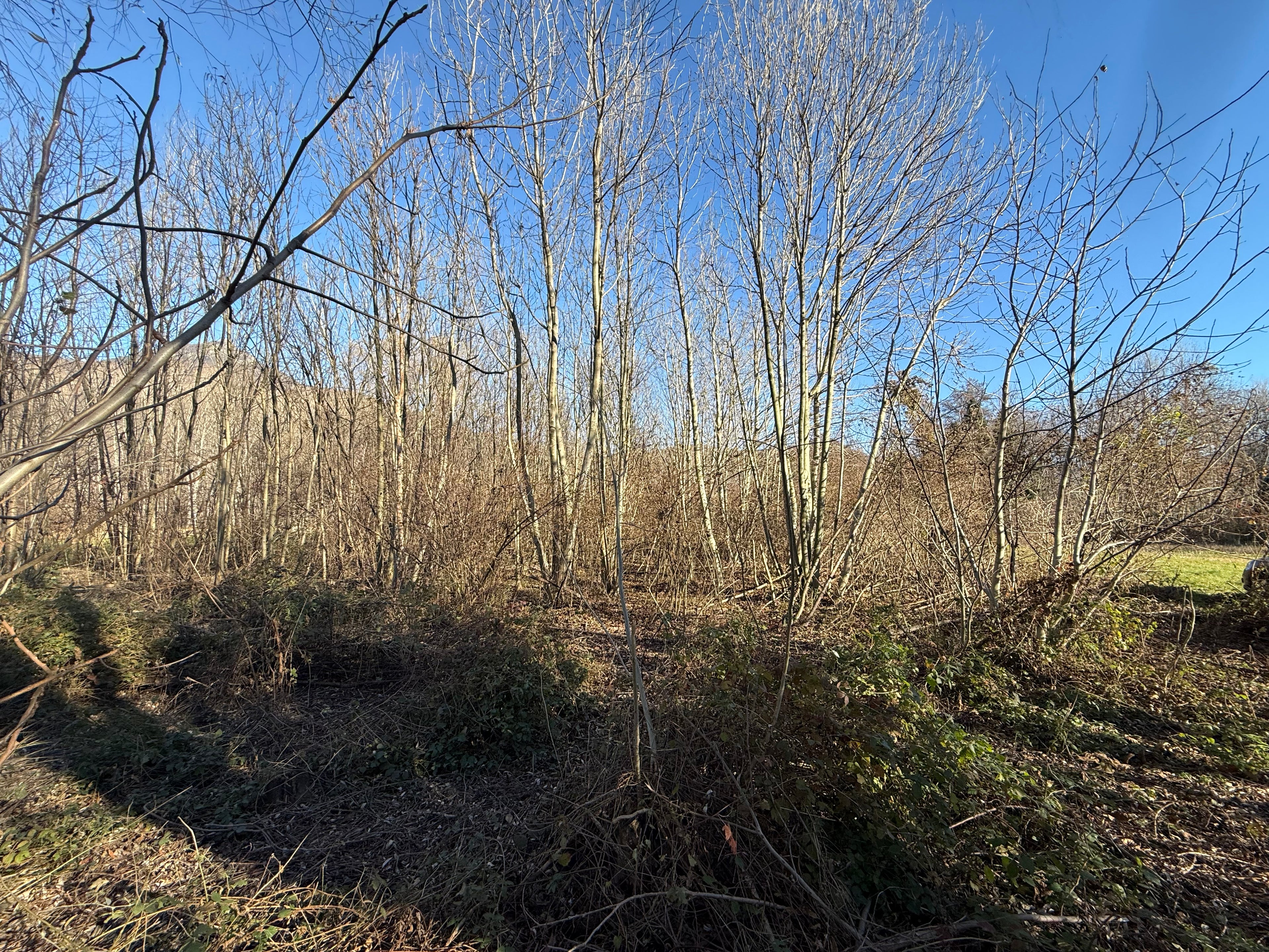 TERRENO AGRICOLO DI CIRCA 2.000 MQ