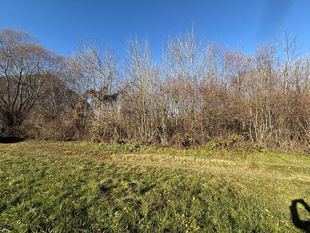 TERRENO AGRICOLO DI CIRCA 2.000 MQ