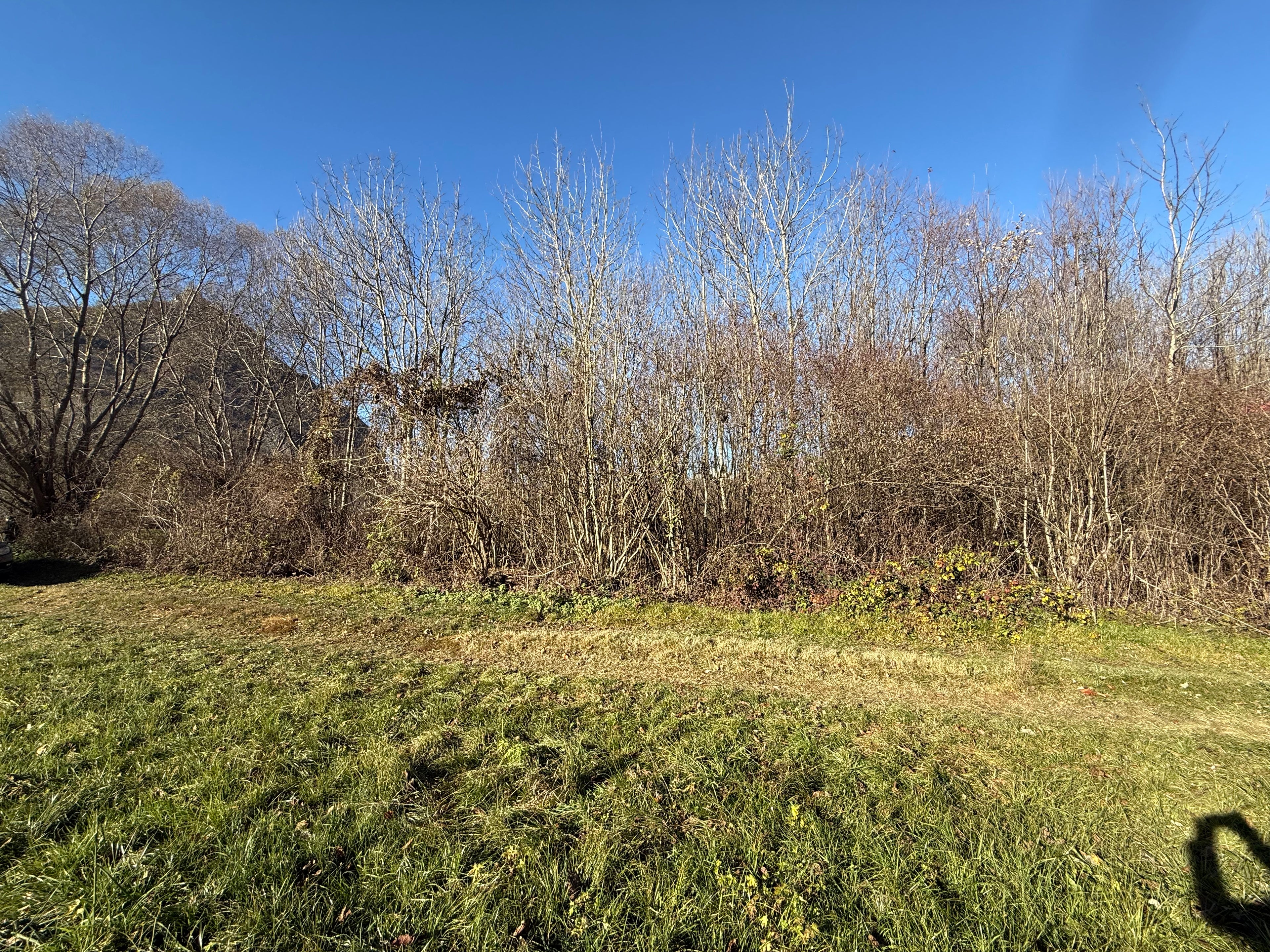 TERRENO AGRICOLO DI CIRCA 2.000 MQ