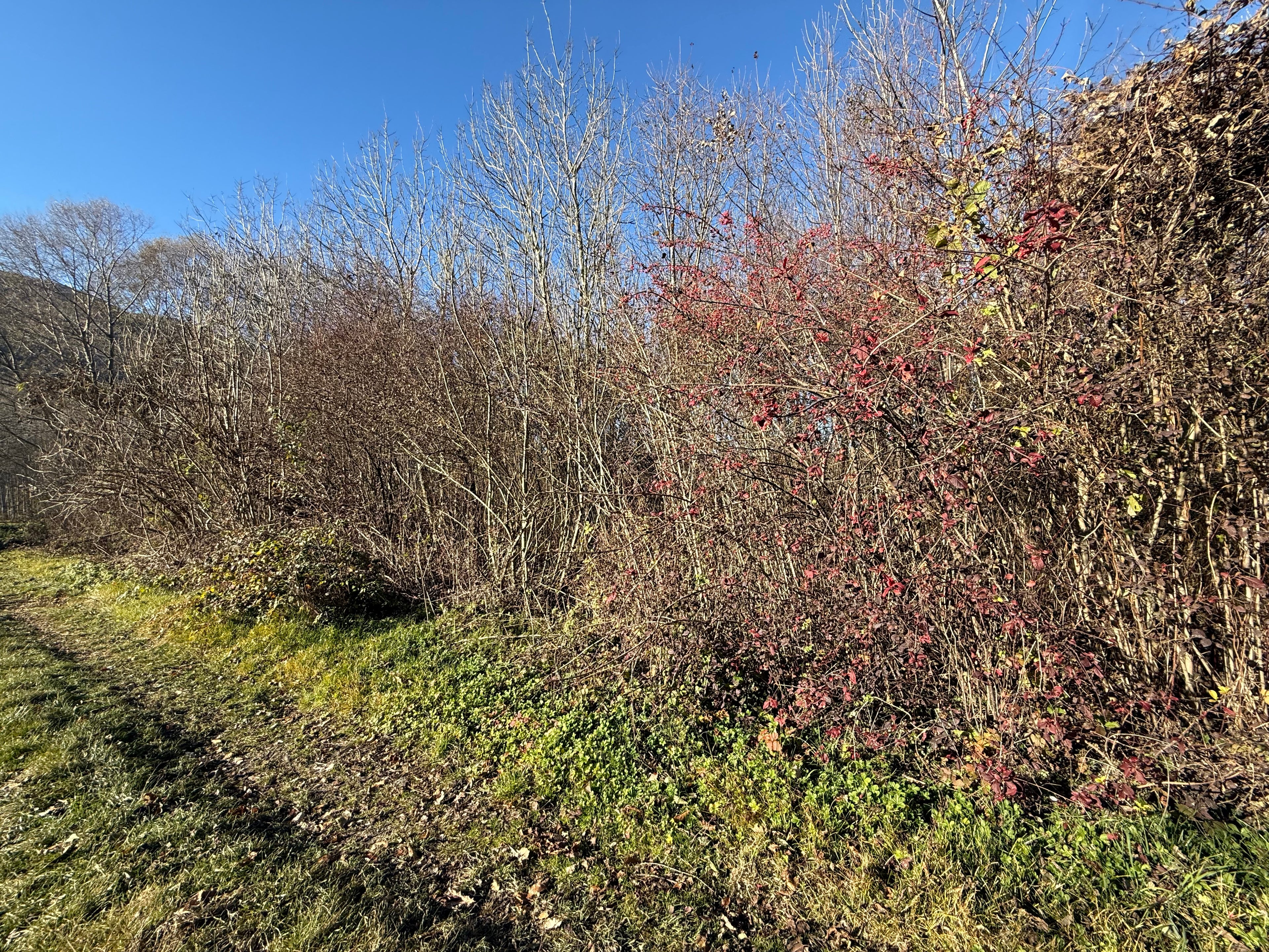 TERRENO AGRICOLO DI CIRCA 2.000 MQ