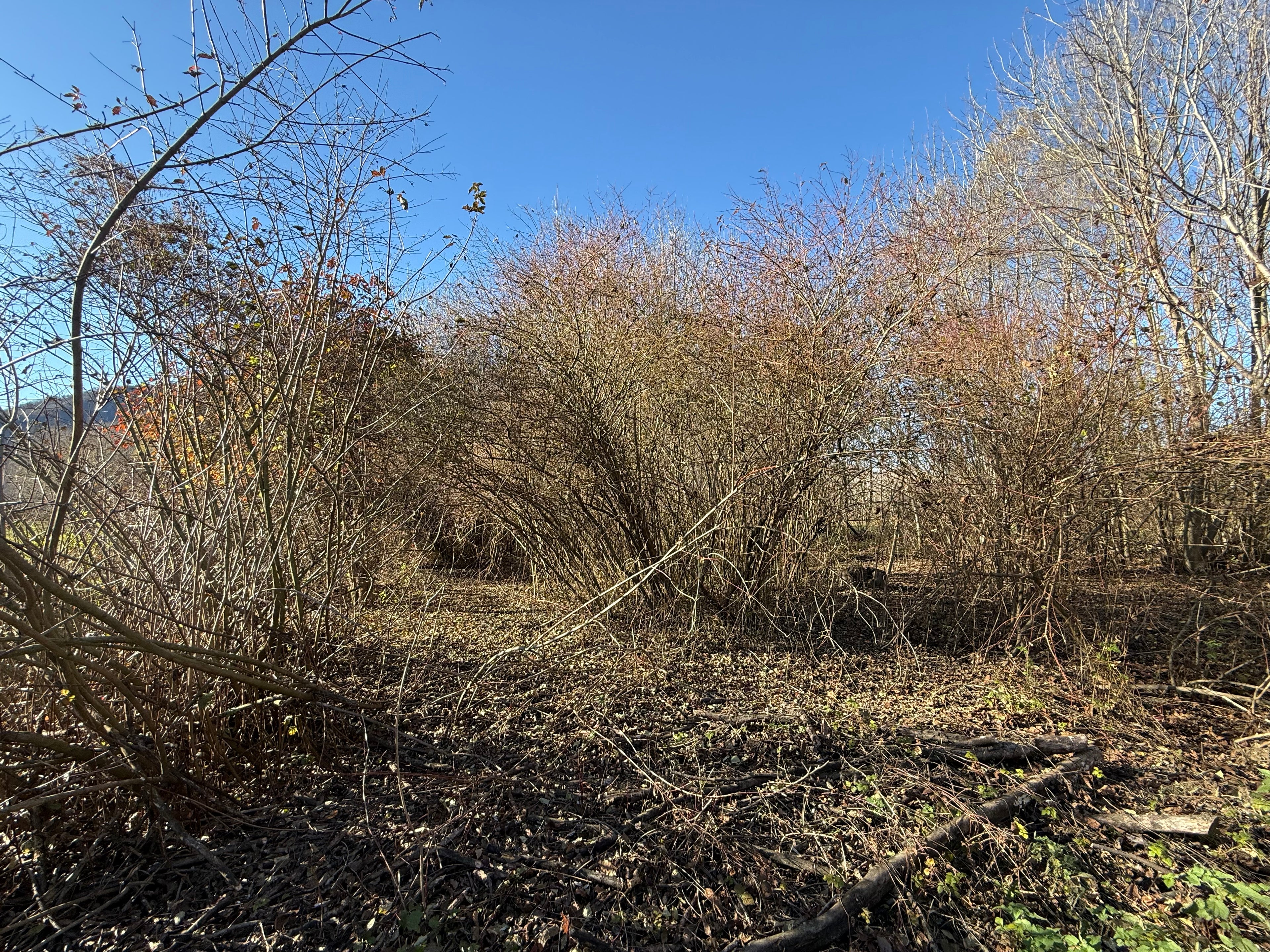 TERRENO AGRICOLO DI CIRCA 2.000 MQ