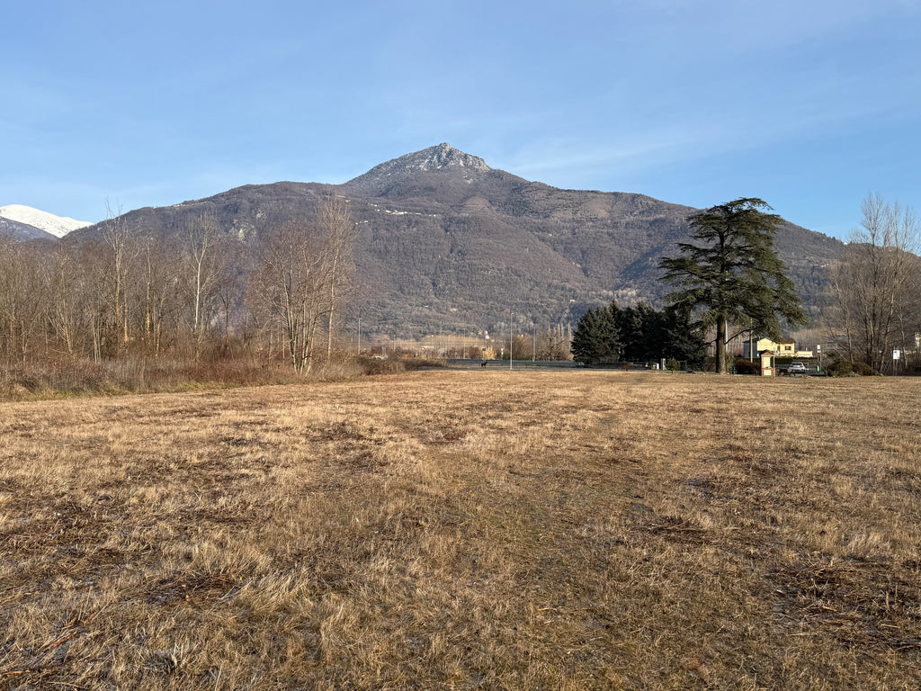 TERRENO EDIFICABILE DI 10.000 MQ A SANT’AMBROGIO DI TORINO